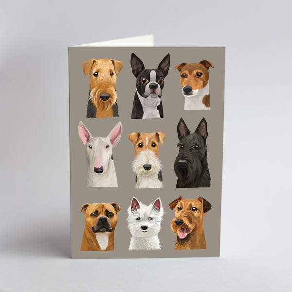 9 Terriers - Card