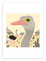 South African Animals (square) Ostrich