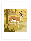 South African Animals (square) Springbok