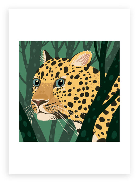 South African Animals (square) Leopard