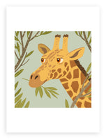 South African Animals (square) Giraffe