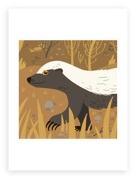 South African Animals (square) Honey Badger